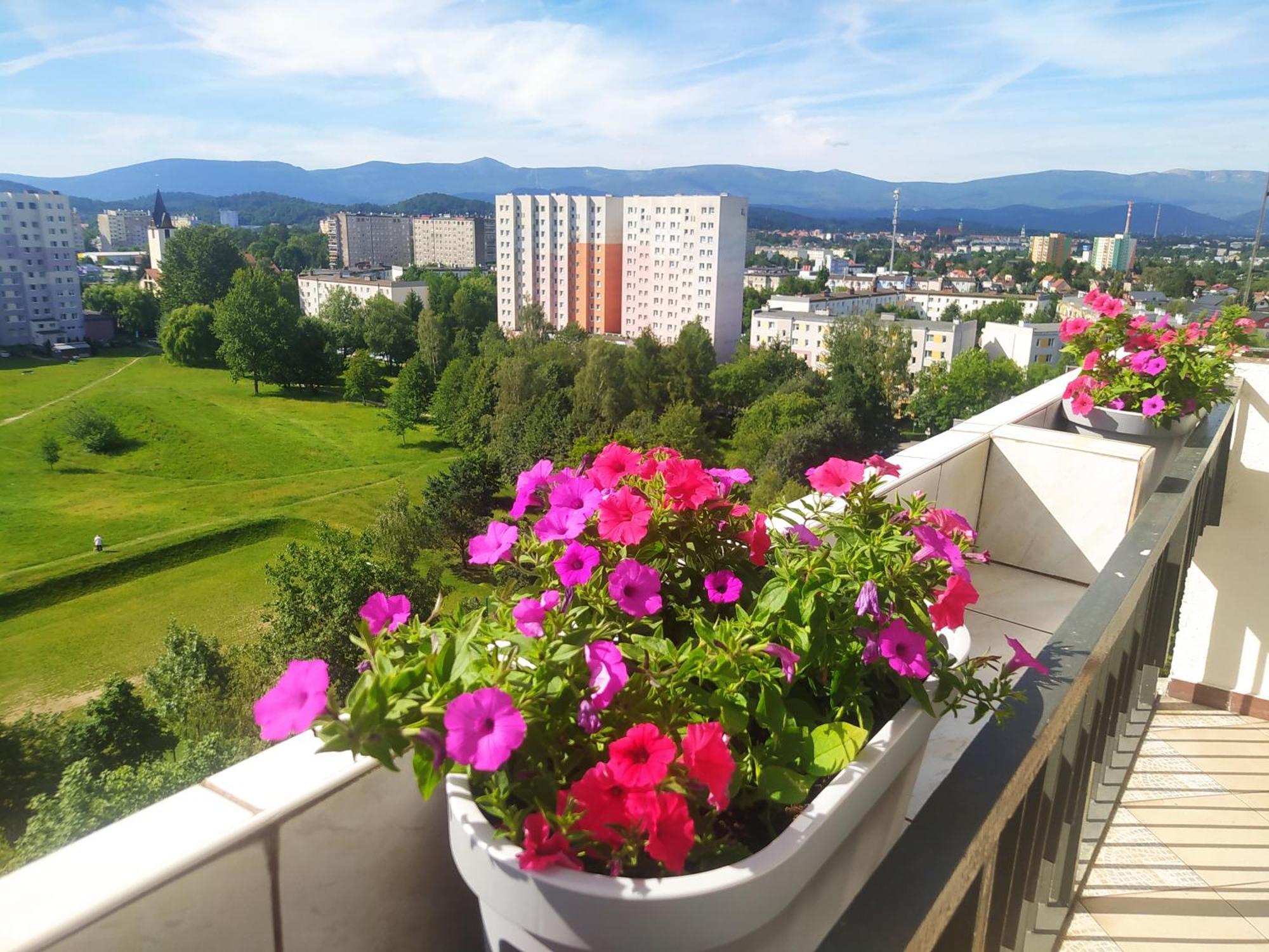 Apartament z Widokiem na Śnieżkę Jelenia Góra Zewnętrze zdjęcie